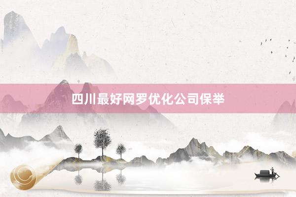 四川最好网罗优化公司保举
