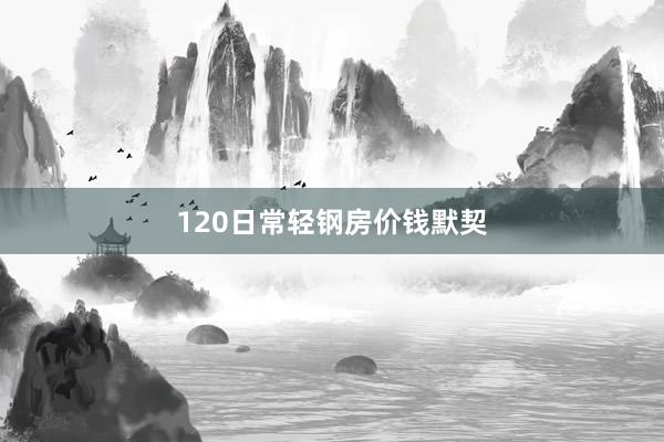 120日常轻钢房价钱默契